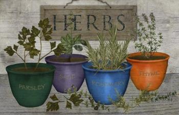Herbs | Obraz na stenu