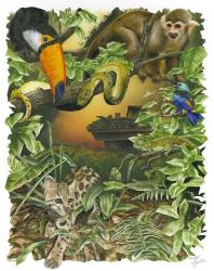 Endangered Rainforest | Obraz na stenu