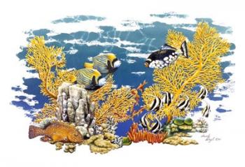 Barrier Reef | Obraz na stenu