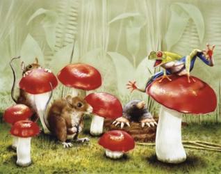 Mushroom Meeting | Obraz na stenu