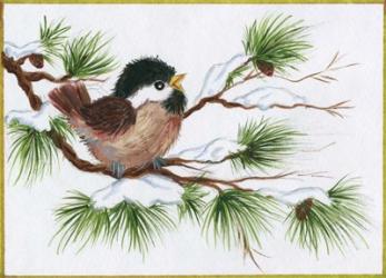 Chickadee On A Pine Tree | Obraz na stenu