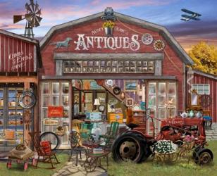 Aunt Teaks Antique Store | Obraz na stenu