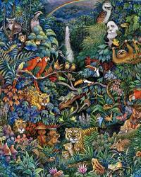 Rainbow Rainforest | Obraz na stenu