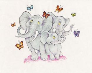 Elephants & Butterflies | Obraz na stenu