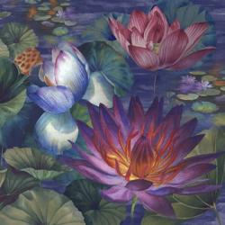 Moonlit Lily Pond | Obraz na stenu