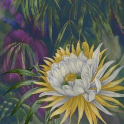 Night Bloom | Obraz na stenu