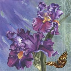 Spring Iris Garden | Obraz na stenu