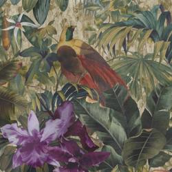 Raggiana Bird Of Paradise Canopy | Obraz na stenu