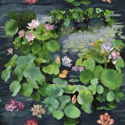 Arcadian Lily Pond | Obraz na stenu