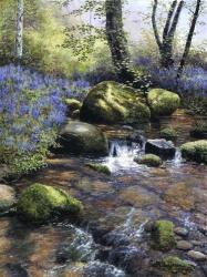 Shallow Brook | Obraz na stenu