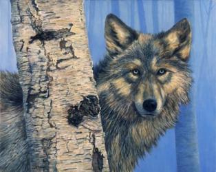 Birch Wolf | Obraz na stenu