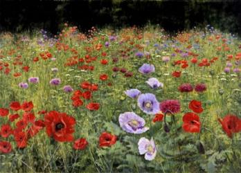 Field Of Poppies | Obraz na stenu