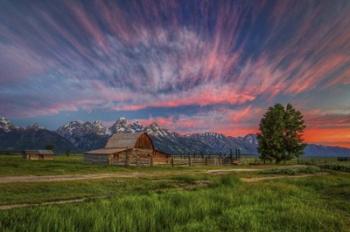 Beneath Teton Glory | Obraz na stenu