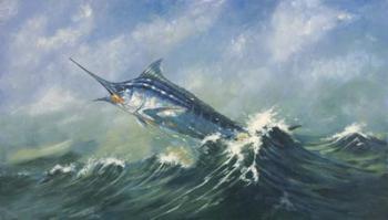 Blue Marlin | Obraz na stenu