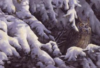 Among the Pines - Great Horned Owl | Obraz na stenu