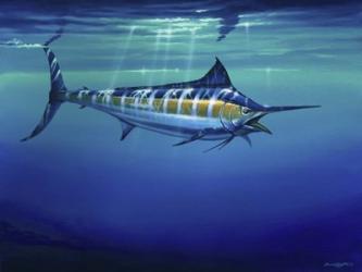 Catching the Rays Blue Marlin | Obraz na stenu