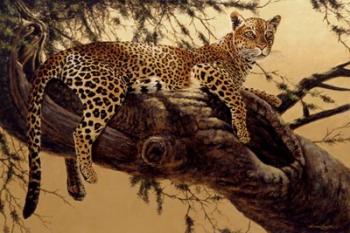 Morning Retreat-Leopard | Obraz na stenu