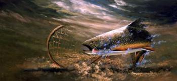 Nothing But Net - Brook Trout | Obraz na stenu