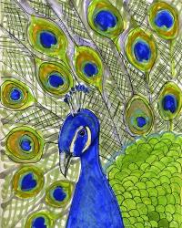 Paisley B Peacock | Obraz na stenu