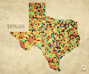 Texas County Map | Obraz na stenu