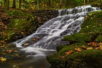 Abbey Pond Cascades | Obraz na stenu