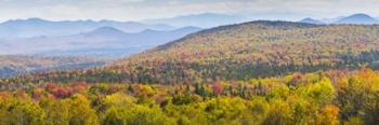 Autumn In Vermont | Obraz na stenu