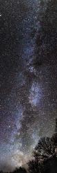Backyard Milky Way | Obraz na stenu