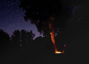 Campfire Under The Meteors | Obraz na stenu
