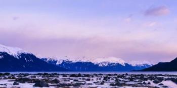 Frozen Shoreline | Obraz na stenu