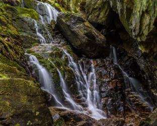 Hidden Falls | Obraz na stenu