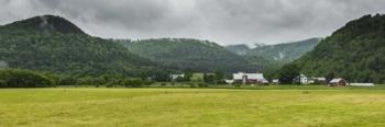Local Farm | Obraz na stenu