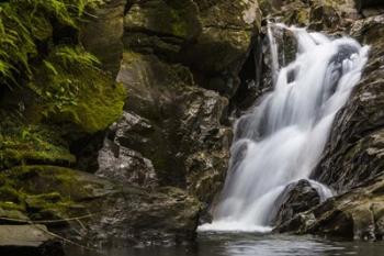 Secluded Falls | Obraz na stenu