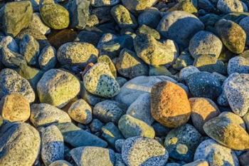 Shoreline Stones | Obraz na stenu