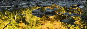 Stream In Autumn | Obraz na stenu
