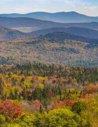 Vermont's Colors | Obraz na stenu