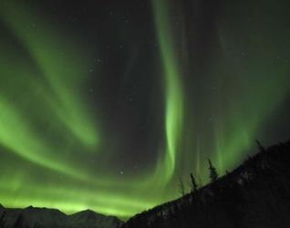 Winter's Night Sky | Obraz na stenu
