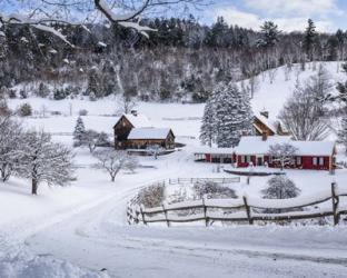 Winter in Vermont | Obraz na stenu