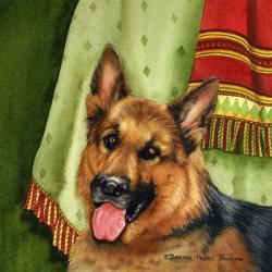 German Shepherd | Obraz na stenu