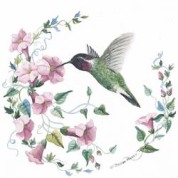 Male Costas Hummingbird | Obraz na stenu