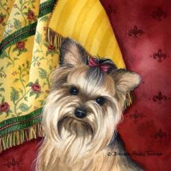 Yorkshire Terrier | Obraz na stenu