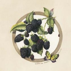 Blackberries | Obraz na stenu