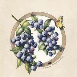 Blueberries | Obraz na stenu