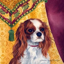 King Charles Spaniel | Obraz na stenu