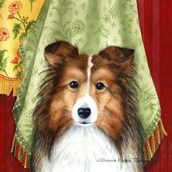 Sheltie | Obraz na stenu