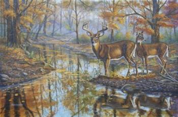 Brookside Retreat - Whitetails | Obraz na stenu