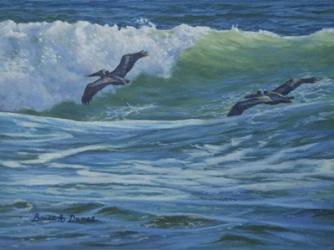 Pelican Skimmers | Obraz na stenu