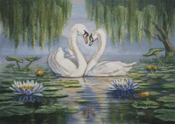 Swan Love | Obraz na stenu