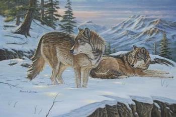 Vantage Point Wolves | Obraz na stenu