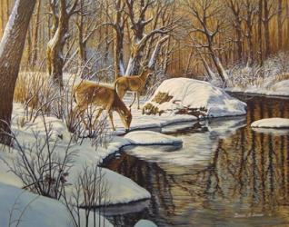 Quinnipiac River White Tails | Obraz na stenu