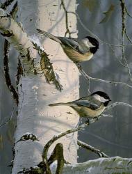 Chickadees At Dawn | Obraz na stenu